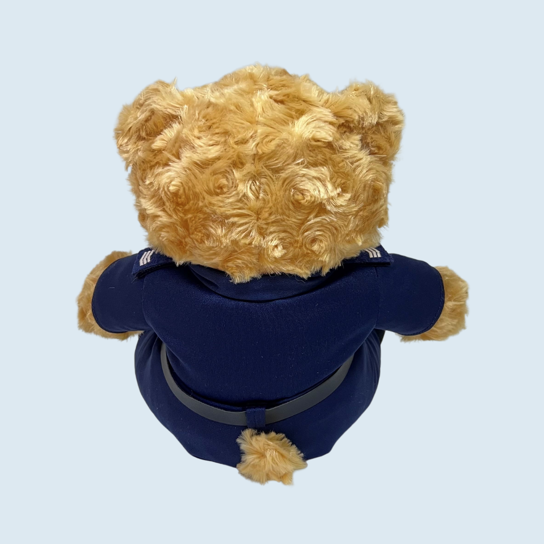 Teddy Bear in Ground Response Force Uniform