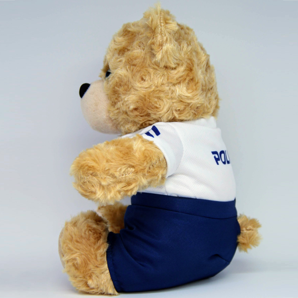 Teddy Bear in Community Policing Attire